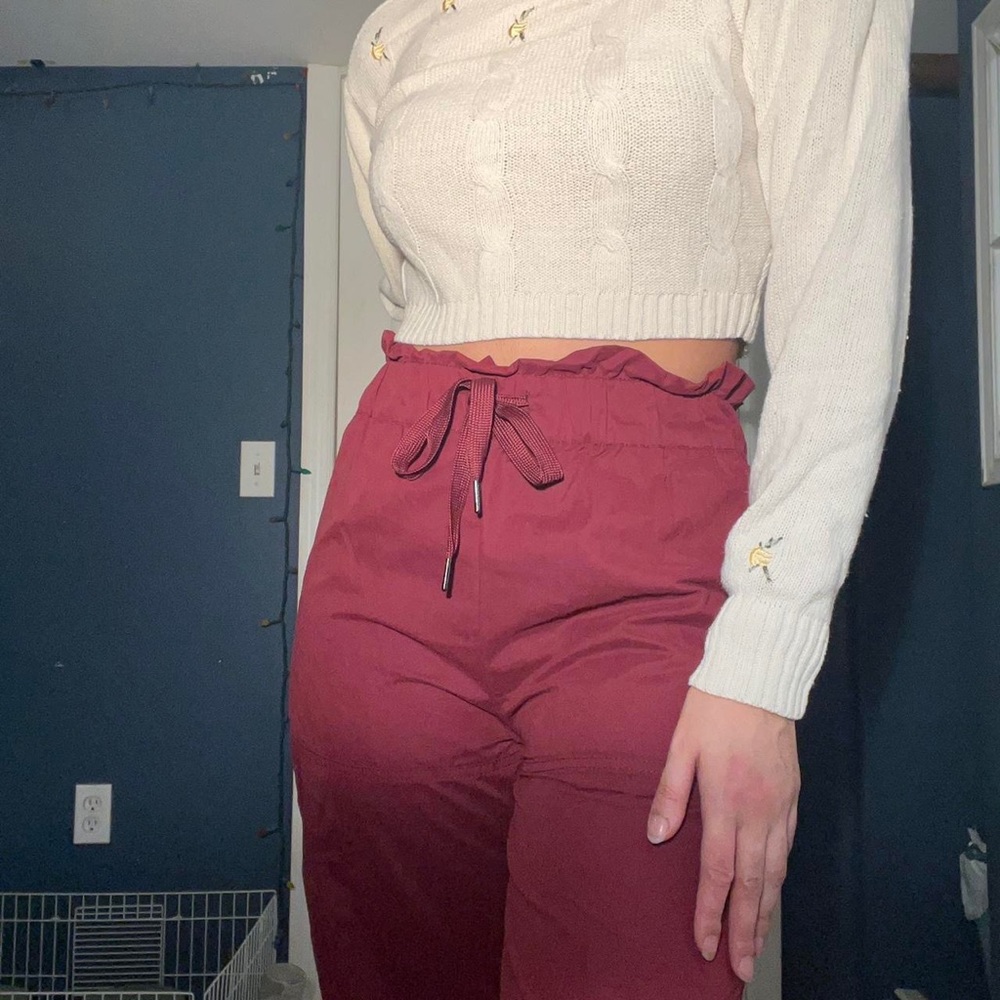 Urban Outfitters Burgundy Joggers